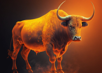 On chain indicator signaleert bullmarkt