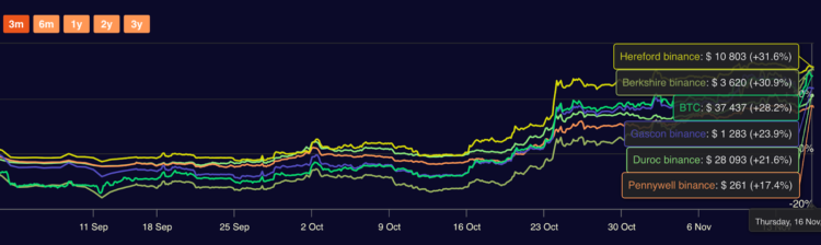 Meegroeien met stijgingen en bescherming bij dalingen door AI